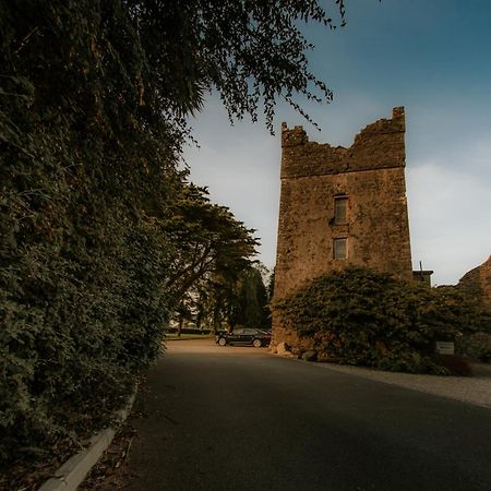 Killiane Castle Country House & Farm Drinagh Экстерьер фото