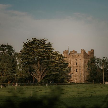 Killiane Castle Country House & Farm Drinagh Экстерьер фото
