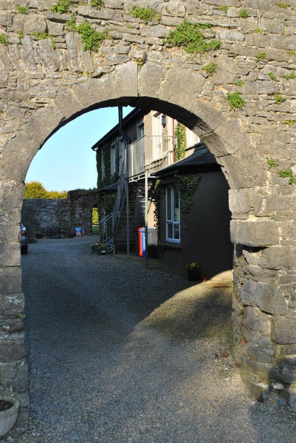 Killiane Castle Country House & Farm Drinagh Экстерьер фото