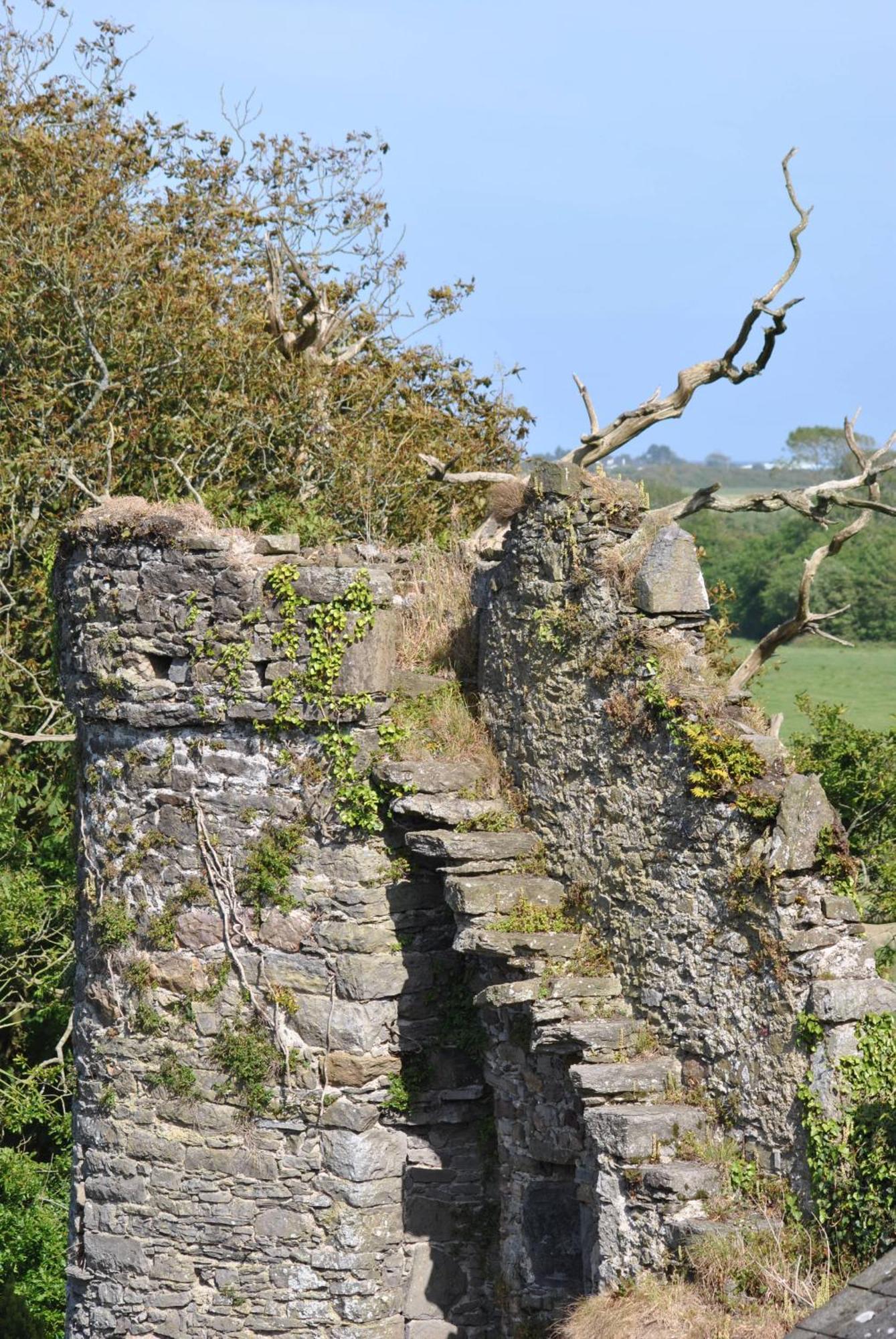 Killiane Castle Country House & Farm Drinagh Экстерьер фото