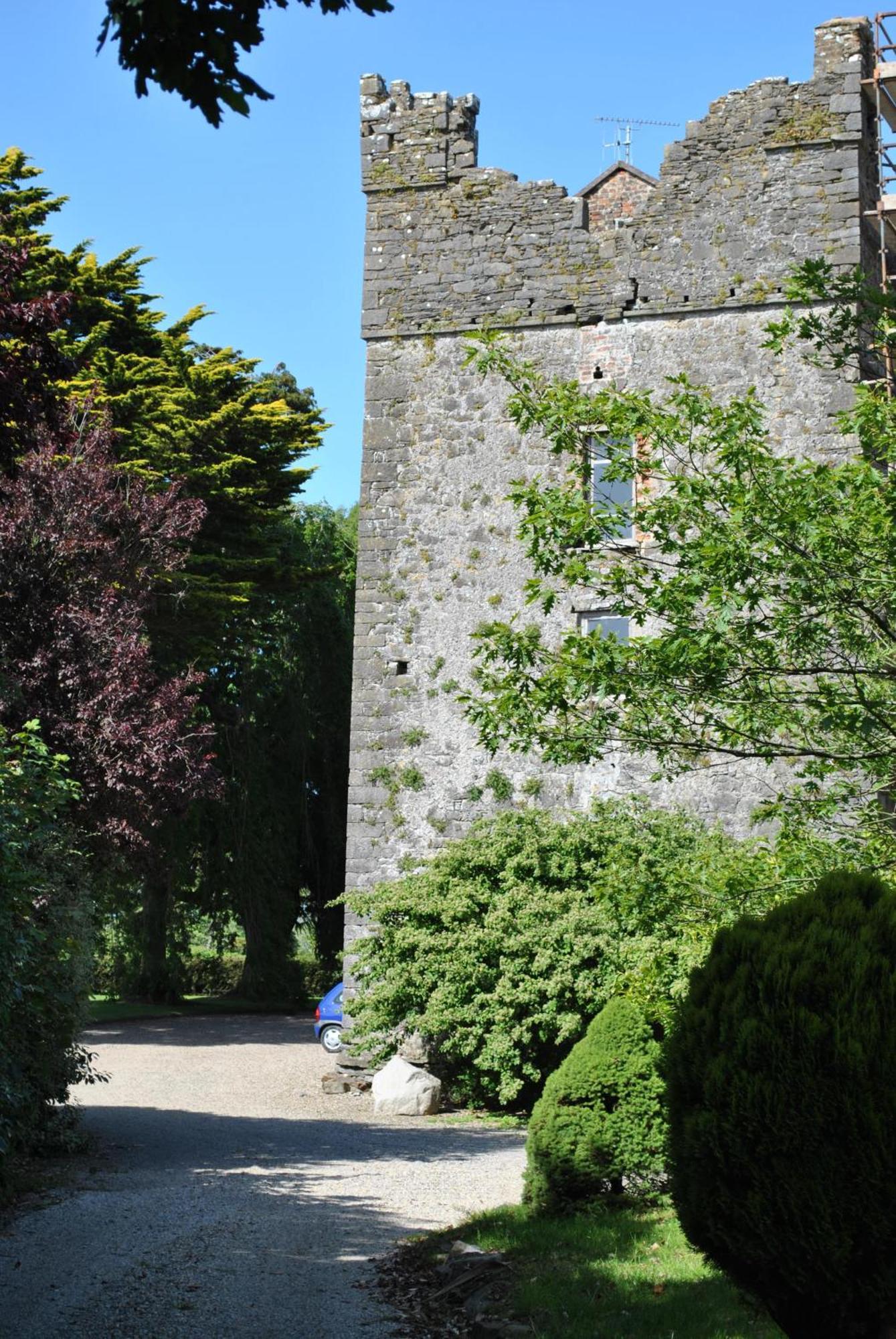 Killiane Castle Country House & Farm Drinagh Экстерьер фото