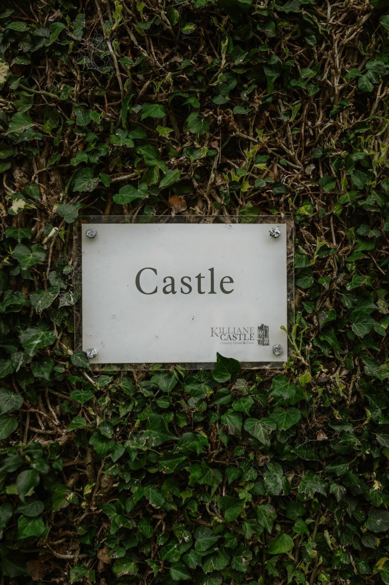 Killiane Castle Country House & Farm Drinagh Экстерьер фото
