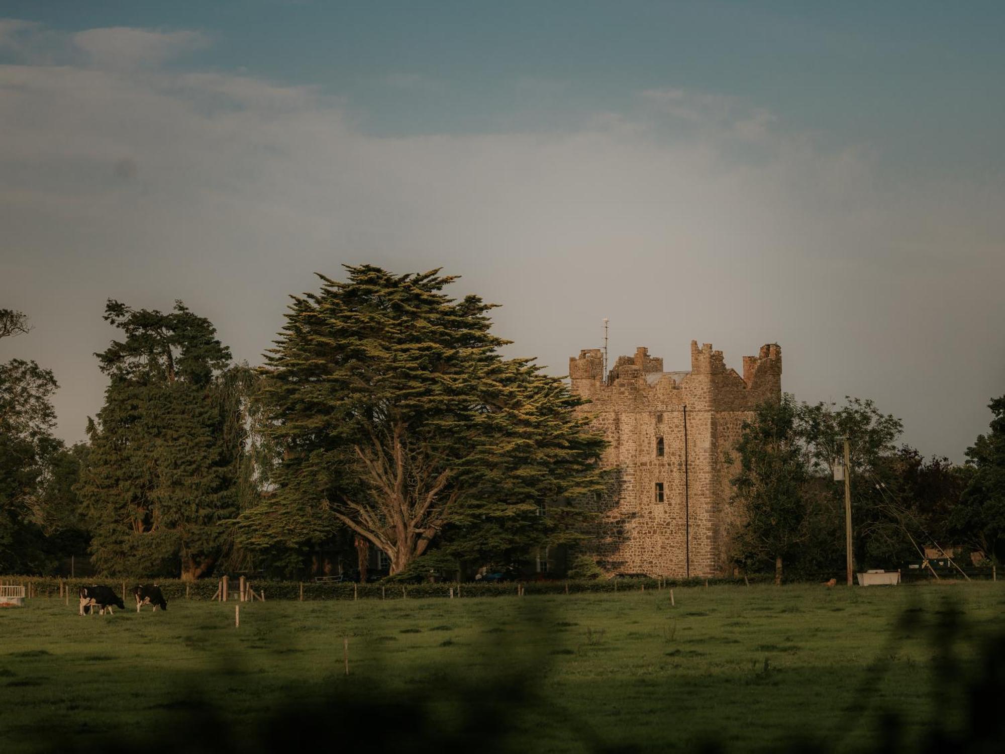 Killiane Castle Country House & Farm Drinagh Экстерьер фото