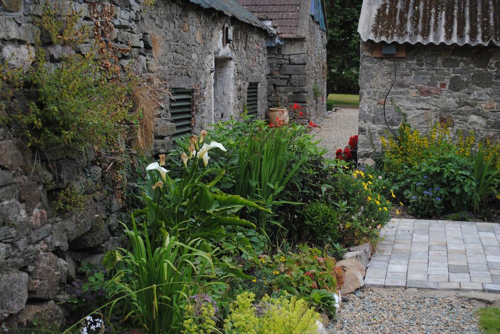 Killiane Castle Country House & Farm Drinagh Экстерьер фото